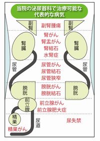 泌尿器科の診療