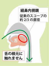 頭部MRI・MRA画像