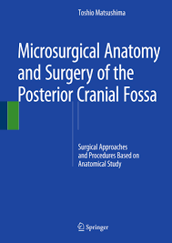 後頭蓋窩の微小外科解剖と手術