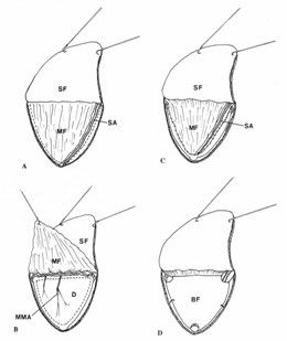 Fig.3