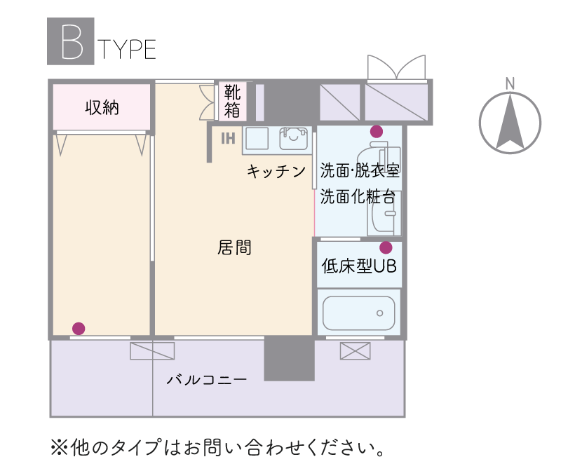 アベニュー矢取_居室間取りB